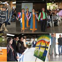 Artes Plásticas e Festival Internacional de Folclore do Pantanal 