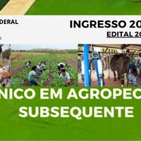 Resultado preliminar - Edital 20/2023- Curso Técnico em Agropecuária Subsequente