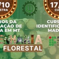  IFMT Cáceres realiza nesta segunda (16.10) palestra sobre fiscalização de madeira em Mato Grosso