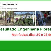 Resultado preliminar Engenharia Florestal