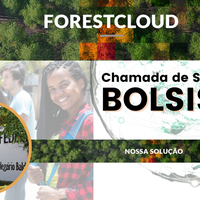 Chamada de seleção para bolsas do Projeto ForestCloud: resultado preliminar