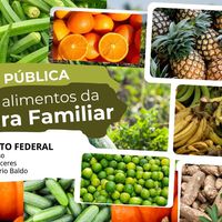 Chamada Pública de aquisição de alimentos da Agricultura Familiar 