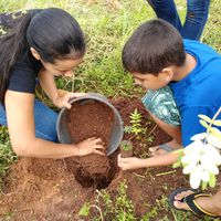 Atividade de plantio de espécies arbóreas nas escolas- Dia Internacional das Florestas e da Árvore