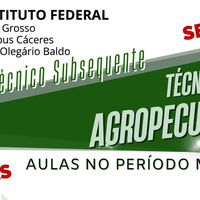 Oportunidade: IFMT Cáceres abre vagas remanescentes para Curso Técnico Subsequente em Agropecuária 